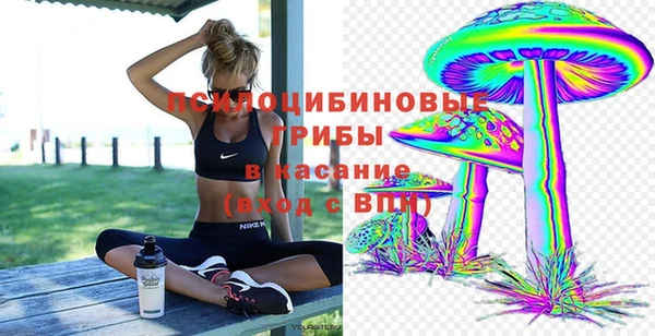 круглые Аркадак