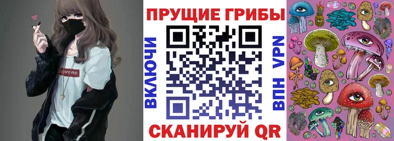 где купить Ростов Галлюциногенные грибы Cubensis